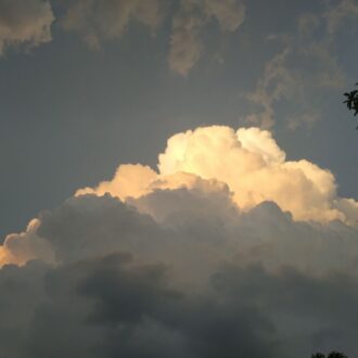 『隐爱』03（张真源第一视角）-河马的秘密河